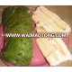 SOURSOP FLAVOR